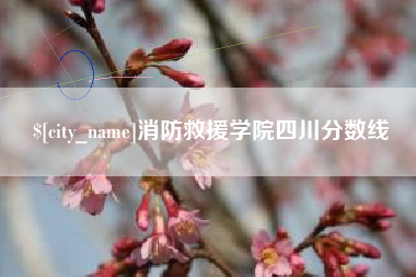 来宾消防救援学院四川分数线