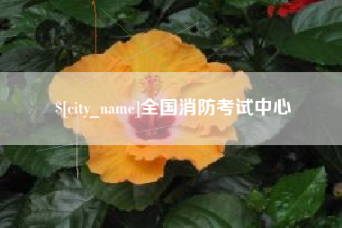 来宾全国消防考试中心