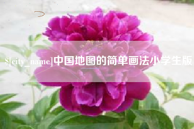 来宾中国地图的简单画法小学生版