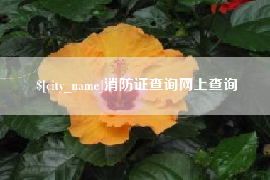 来宾消防证查询网上查询