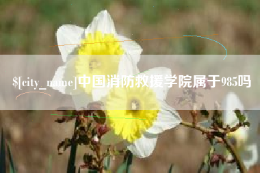 来宾中国消防救援学院属于985吗