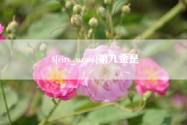 来宾第九金是