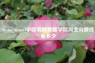 来宾中国消防救援学院河北分数线是多少