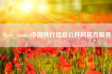 来宾中国执行信息公开网官方服务