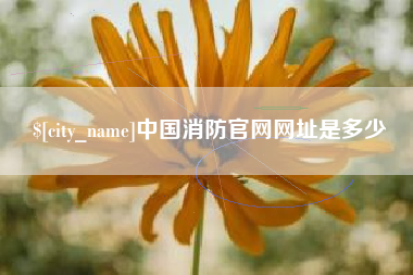 来宾中国消防官网网址是多少