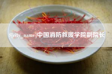 来宾中国消防救援学院副院长