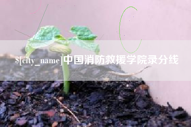 来宾中国消防救援学院录分线