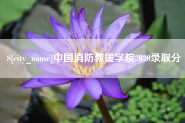 来宾中国消防救援学院2020录取分
