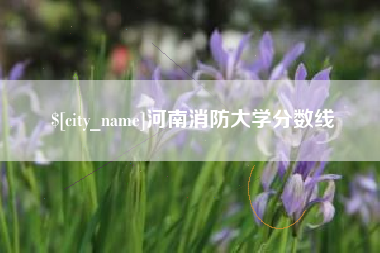 来宾河南消防大学分数线