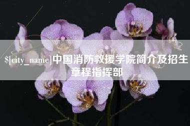 来宾中国消防救援学院简介及招生章程指挥部