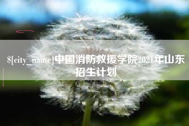 来宾中国消防救援学院2021年山东招生计划