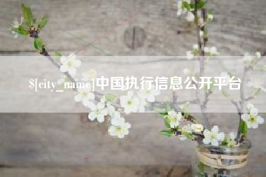 来宾中国执行信息公开平台