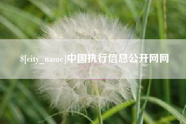 来宾中国执行信息公开网网