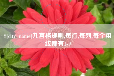 来宾九宫格规则,每行,每列,每个粗线都有1-9