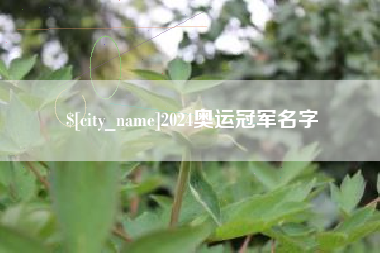 来宾2024奥运冠军名字