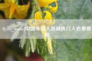 来宾中国失信人员被执行人名单查询