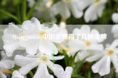 来宾中国金牌得了几枚金牌