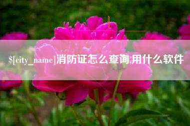 来宾消防证怎么查询,用什么软件