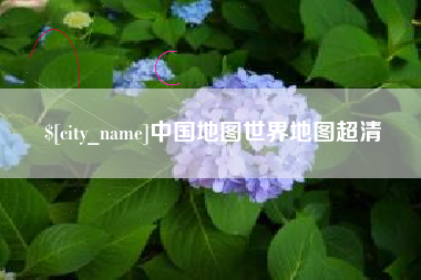 来宾中国地图世界地图超清