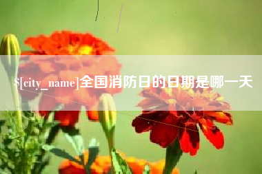 来宾全国消防日的日期是哪一天