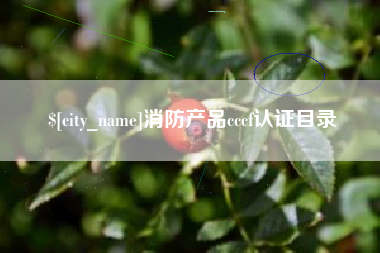 来宾消防产品cccf认证目录