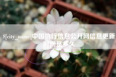 来宾中国执行信息公开网信息更新时间是多久