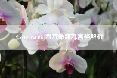 来宾西方命数九宫格解析