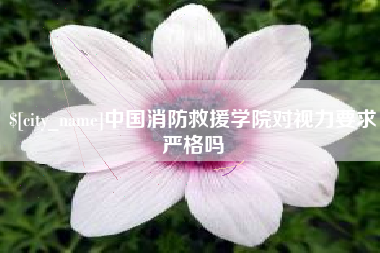 来宾中国消防救援学院对视力要求严格吗