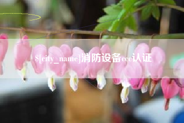 来宾消防设备ccc认证