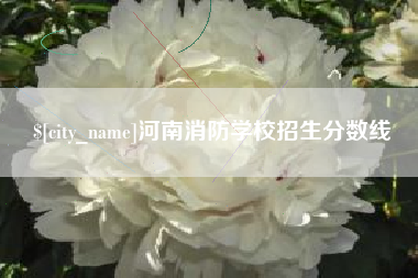 来宾河南消防学校招生分数线