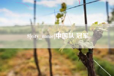 来宾中国队 冠军