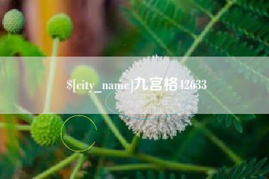 来宾九宫格42633
