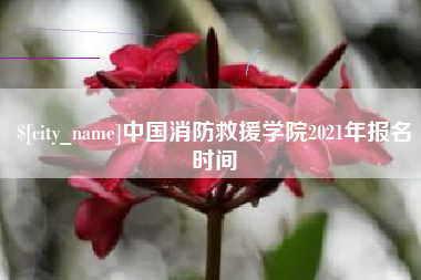 来宾中国消防救援学院2021年报名时间