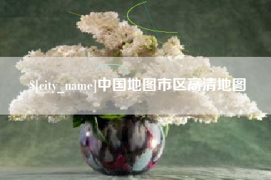 来宾中国地图市区高清地图