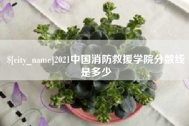 来宾2021中国消防救援学院分数线是多少