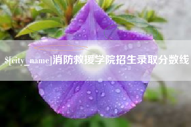 来宾消防救援学院招生录取分数线