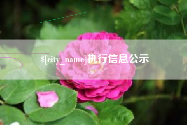 来宾执行信息公示