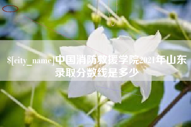 来宾中国消防救援学院2021年山东录取分数线是多少