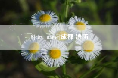 来宾成都 消防