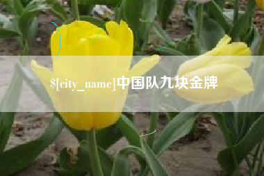 来宾中国队九块金牌