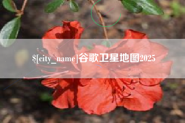 来宾谷歌卫星地图2025