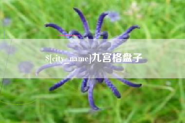 来宾九宫格盘子