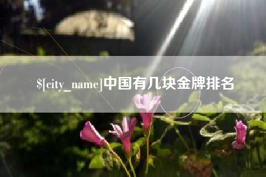 来宾中国有几块金牌排名