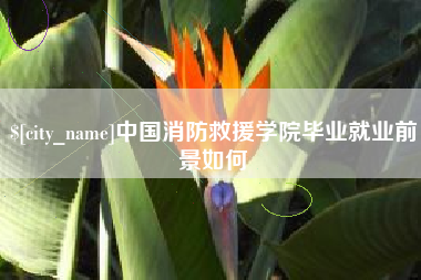 来宾中国消防救援学院毕业就业前景如何