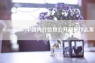 来宾中国执行信息公开网是什么东西