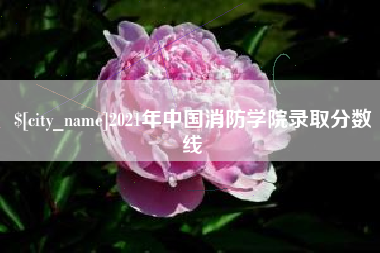 来宾2021年中国消防学院录取分数线