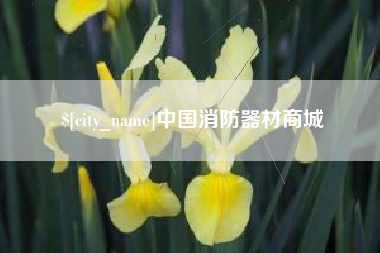 来宾中国消防器材商城