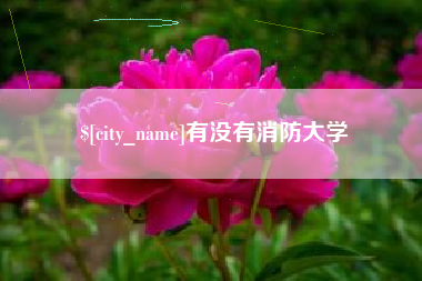 来宾有没有消防大学