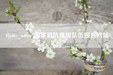 来宾国家消防救援队伍报名网址