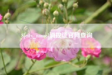 来宾消控证官网查询